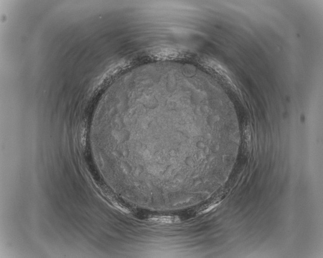 X0000086780499200704131218