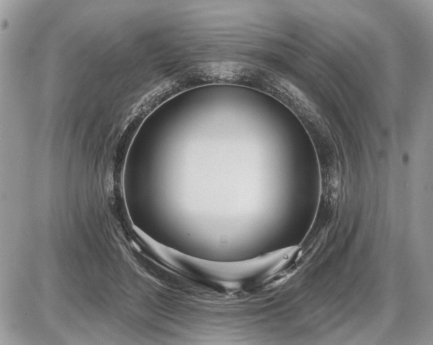 X0000086780500200704131218