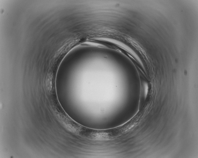 X0000086780501200704131218