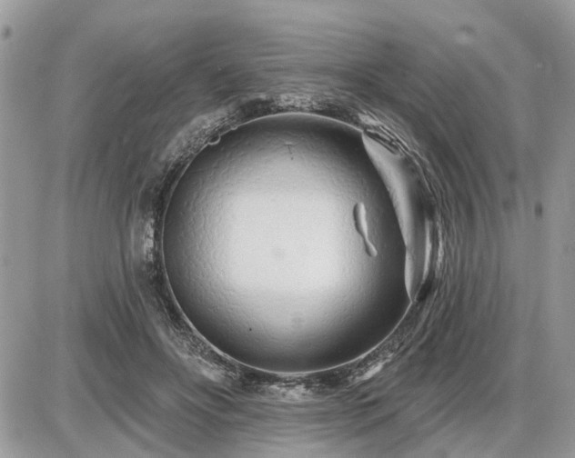 X0000086780502200704131218