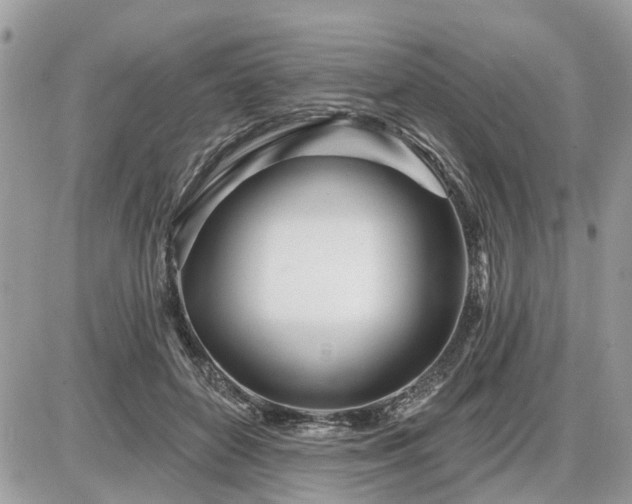 X0000086780504200704131218