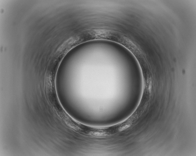 X0000086780506200704131218