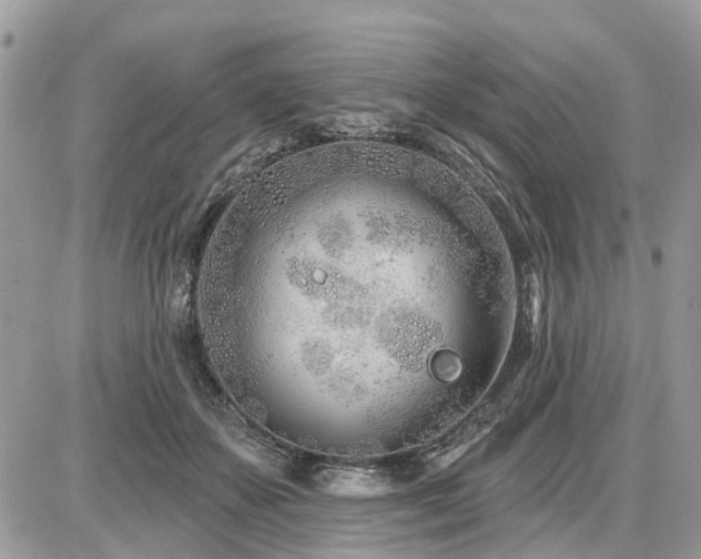 X0000086780507200704131218