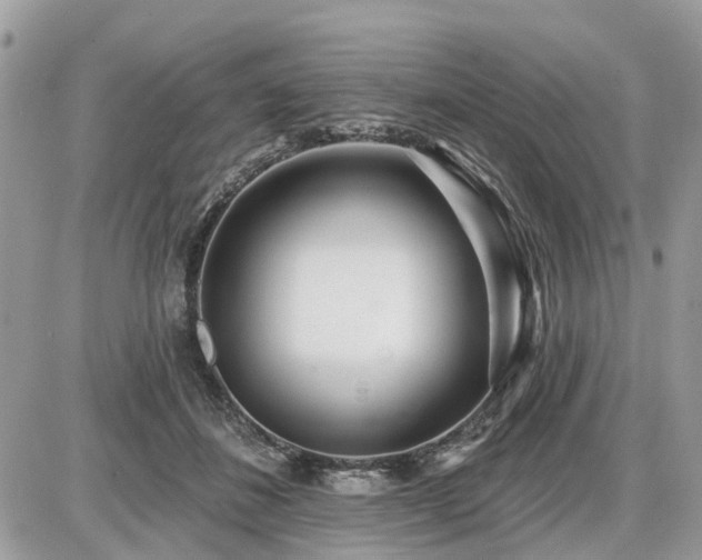 X0000086780508200704131218