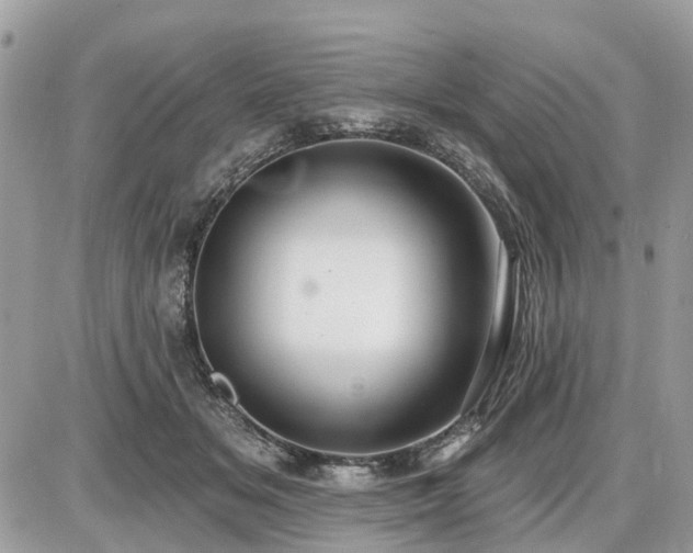 X0000086780509200704131218