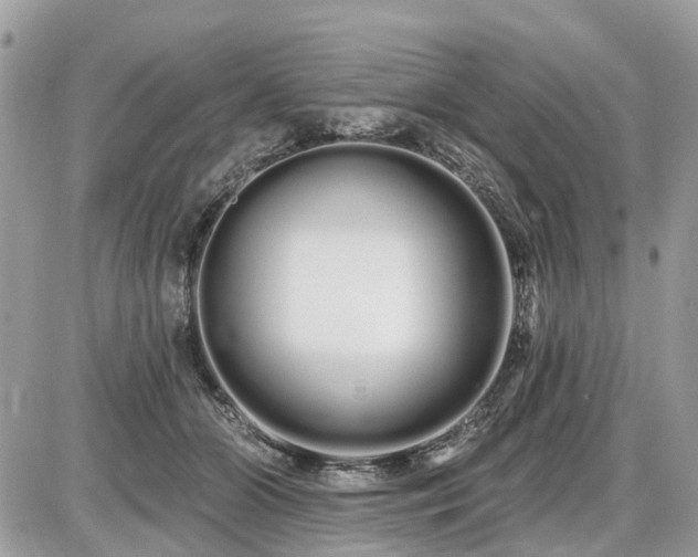 X0000086780510200704131218