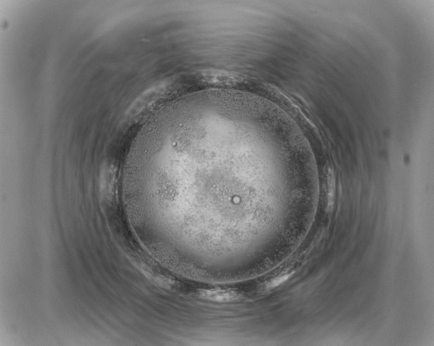 X0000086780511200704131218