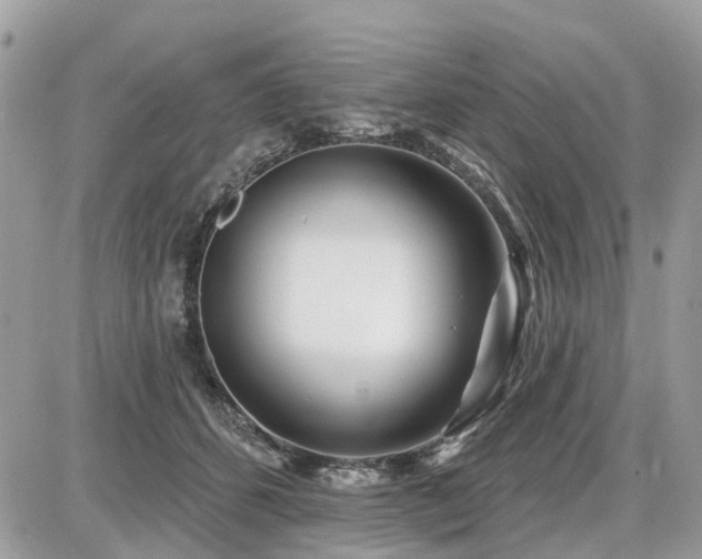 X0000086780512200704131218