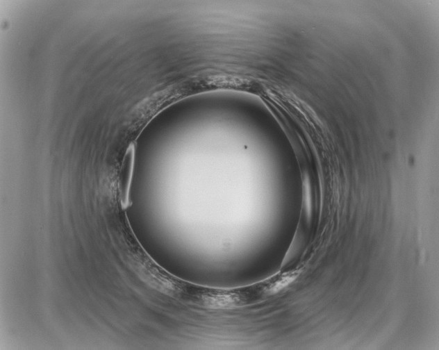 X0000086780513200704131218