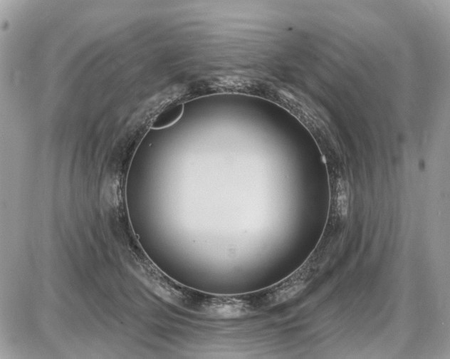 X0000086780514200704131218