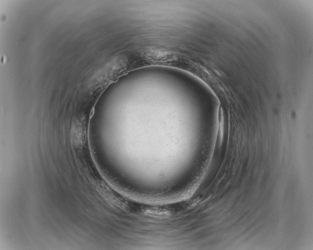 X0000086780515200704131218