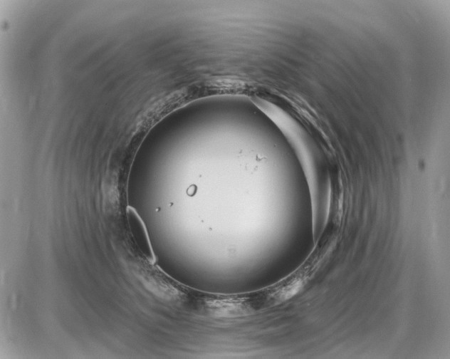 X0000086780516200704131217