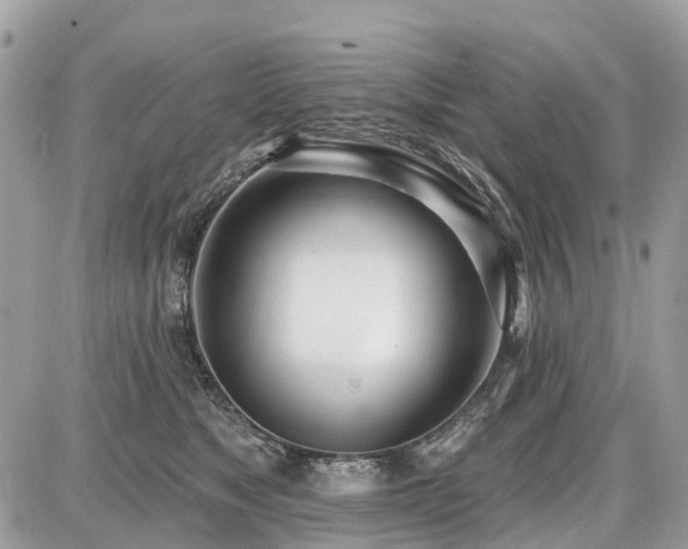 X0000086780517200704131217