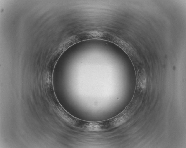 X0000086780518200704131217