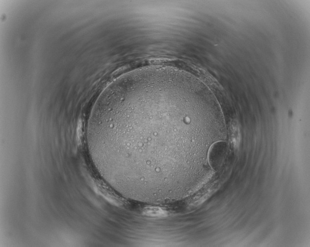 X0000086780519200704131217