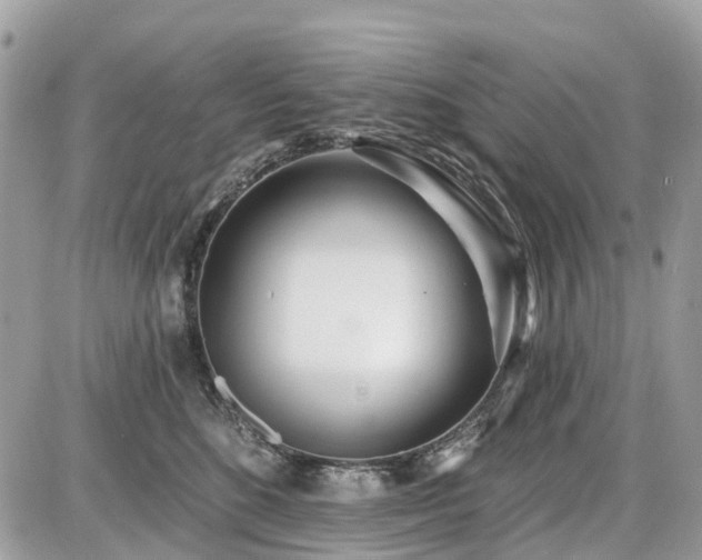 X0000086780520200704131217