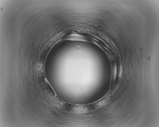 X0000086780521200704131217