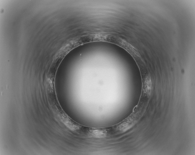 X0000086780522200704131217