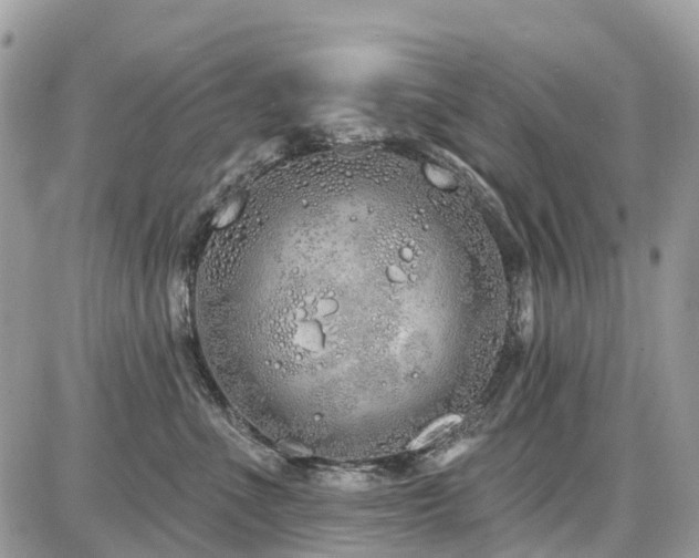 X0000086780523200704131217