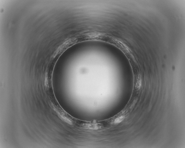 X0000086780524200704131217