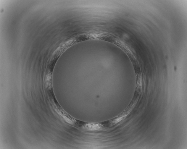 X0000086780526200704131217