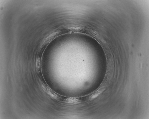 X0000086780528200704131217