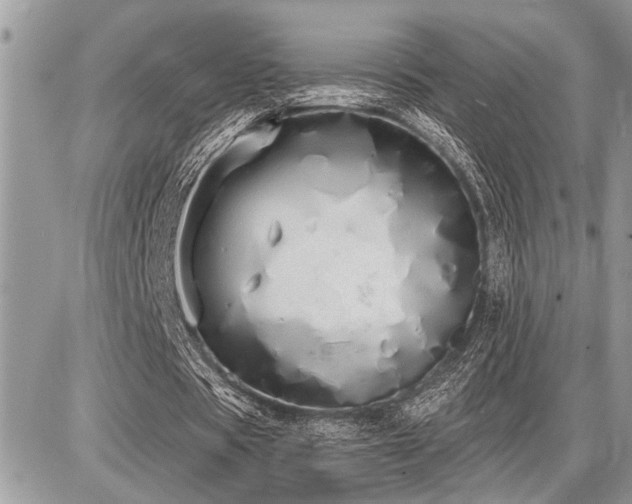 X0000086780529200704131216