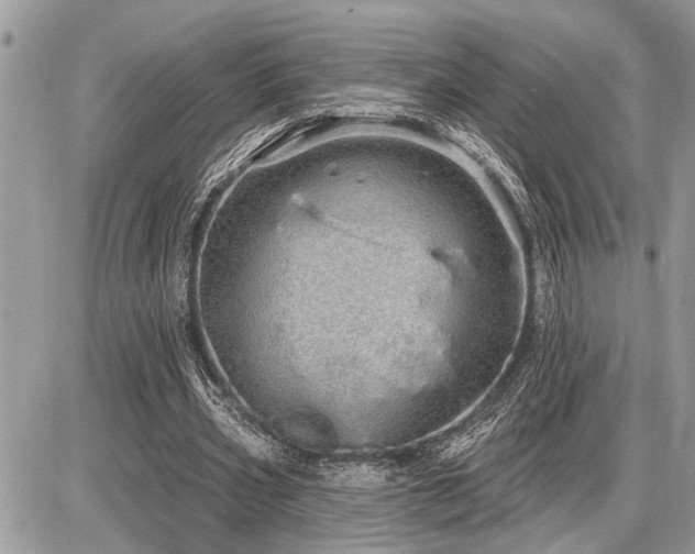 X0000086780533200704131217