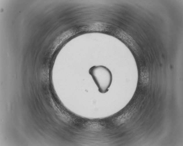 X0000086780534200704131217