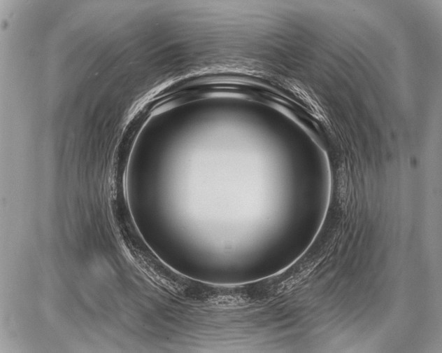 X0000086780536200704131217