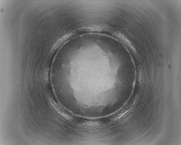 X0000086780537200704131217