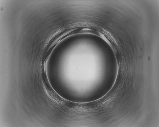 X0000086780538200704131217