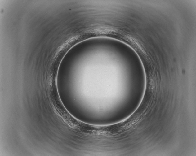 X0000086780539200704131217