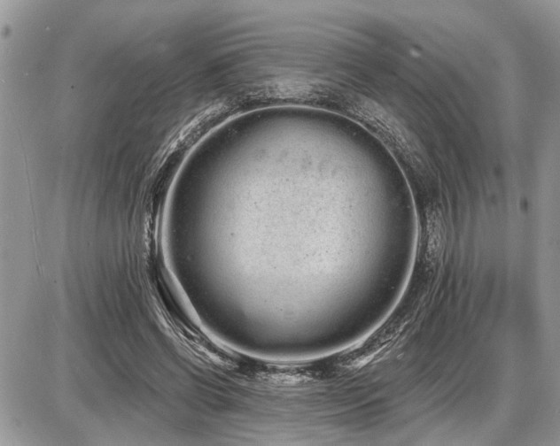 X0000086780542200704131217