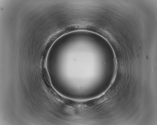 X0000086780543200704131217