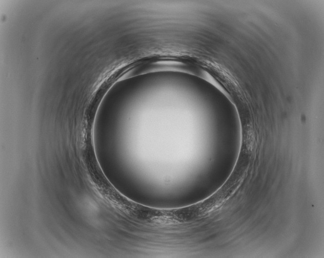 X0000086780544200704131217