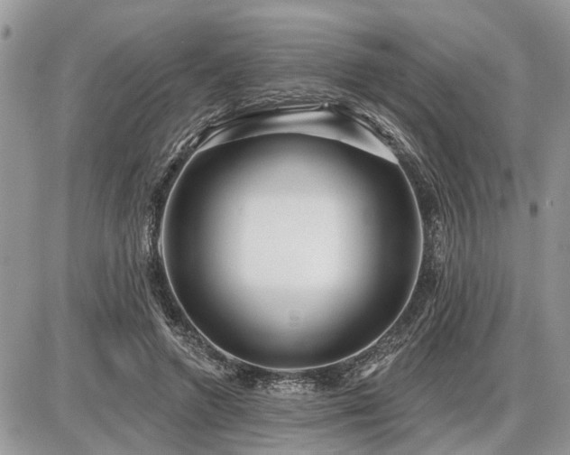 X0000086780546200704131217