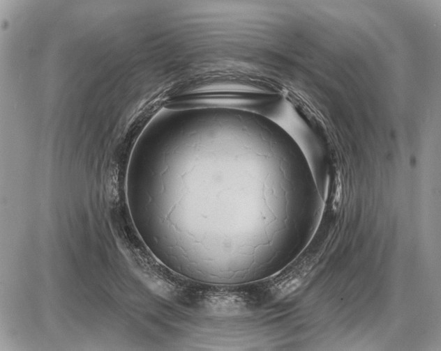 X0000086780547200704131217