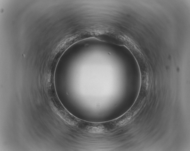 X0000086780548200704131217