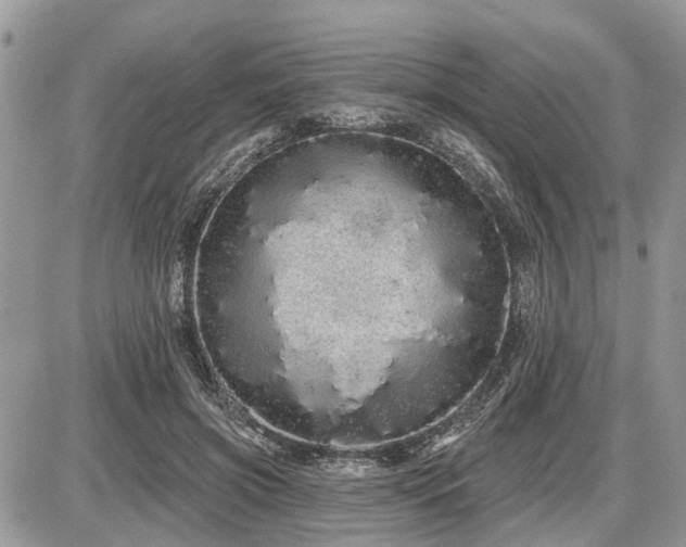 X0000086780549200704131217