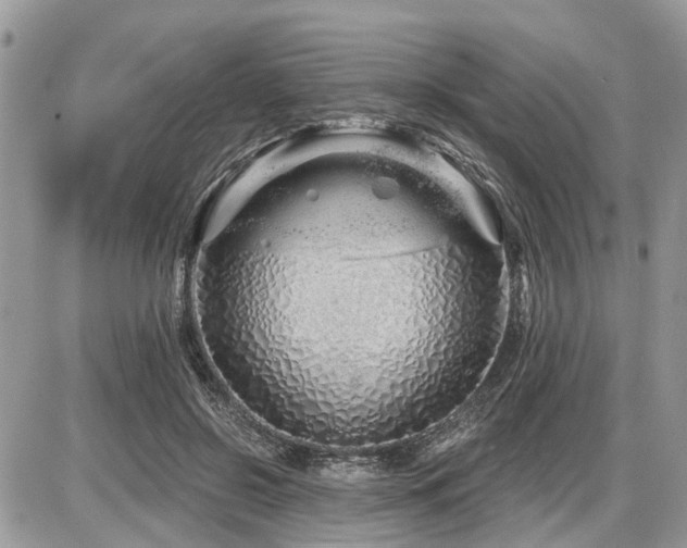 X0000086780550200704131217