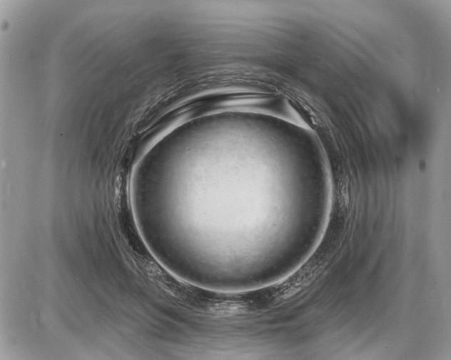 X0000086780551200704131217