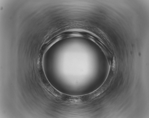 X0000086780552200704131217