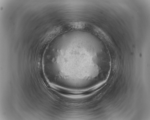 X0000086780553200704131217