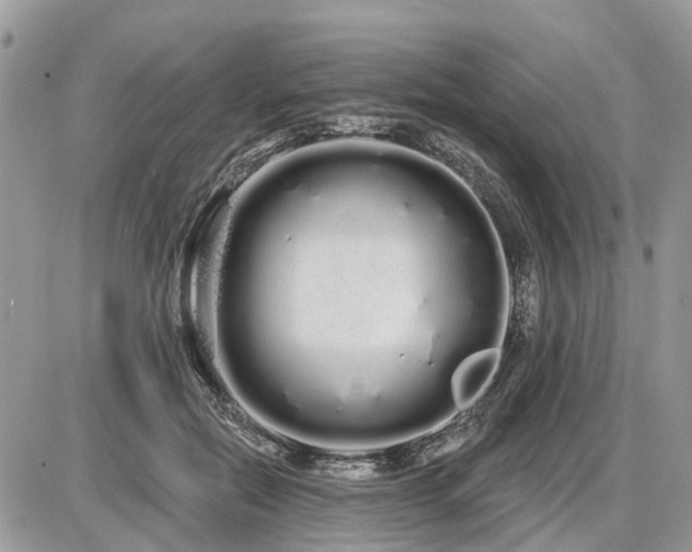 X0000086780554200704131217