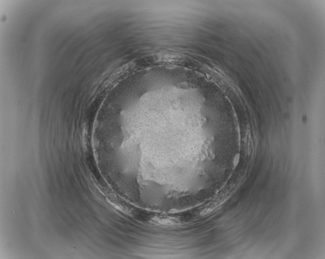 X0000086780557200704131217