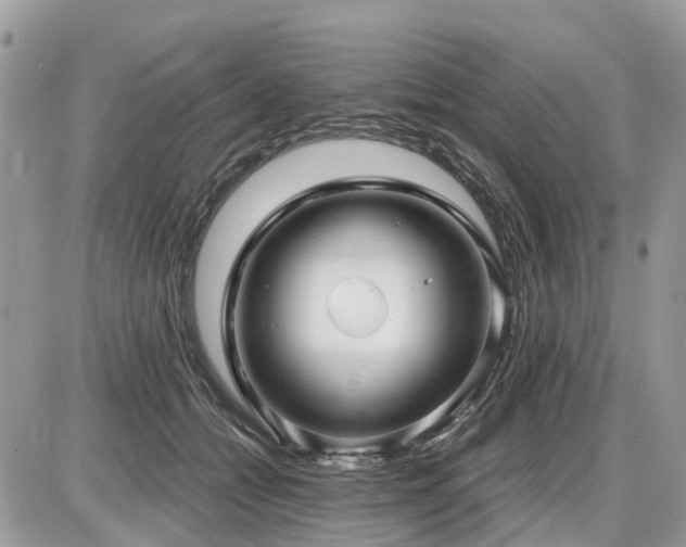 X0000086780558200704131217