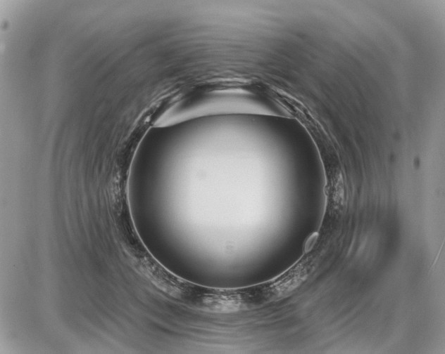 X0000086780559200704131217