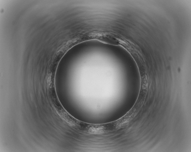 X0000086780560200704131217