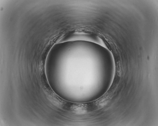 X0000086780563200704131217